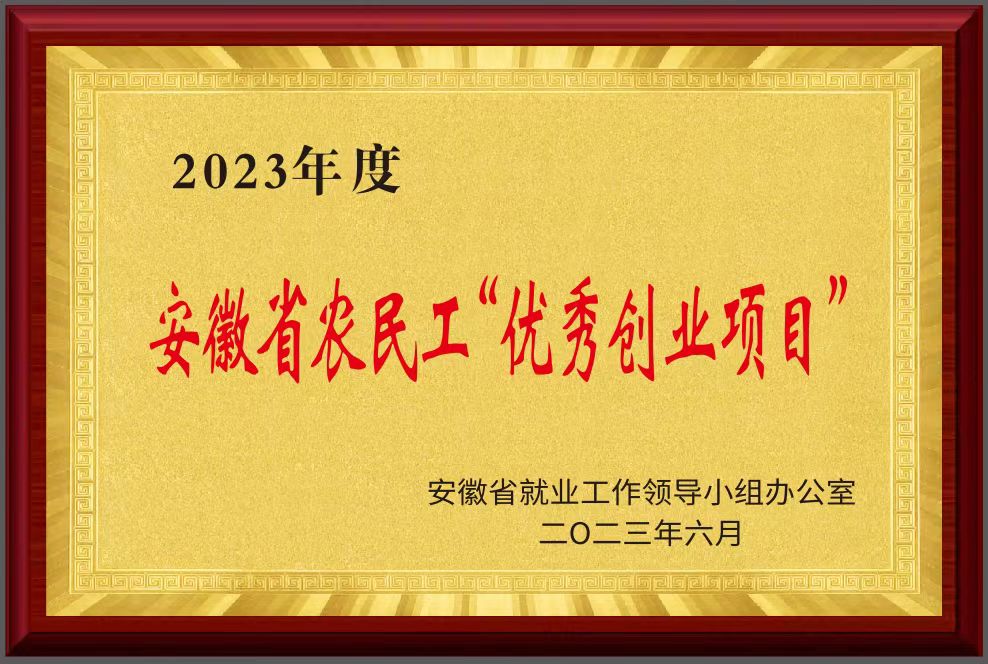安徽省农民工"优秀创业项目"