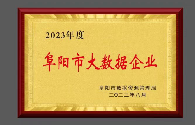 阜阳市大数据企业